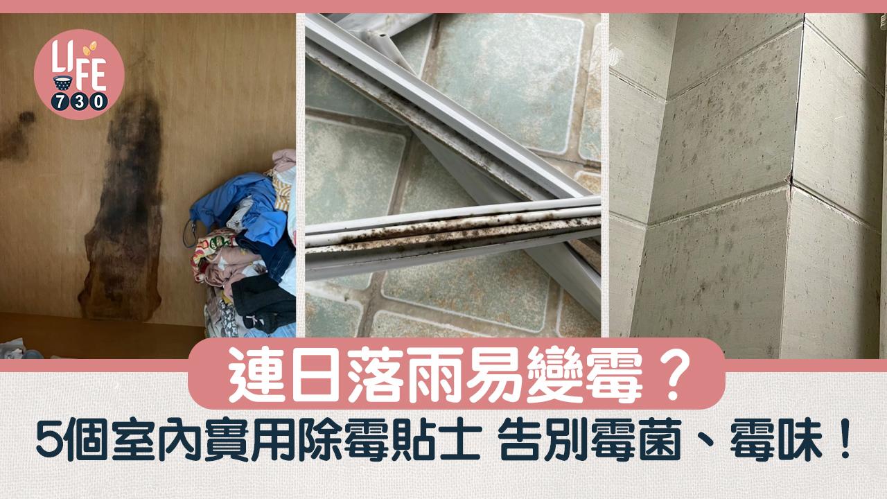 除霉方法｜連日落雨易潮濕？　5個室內貼士告別霉菌、霉味！