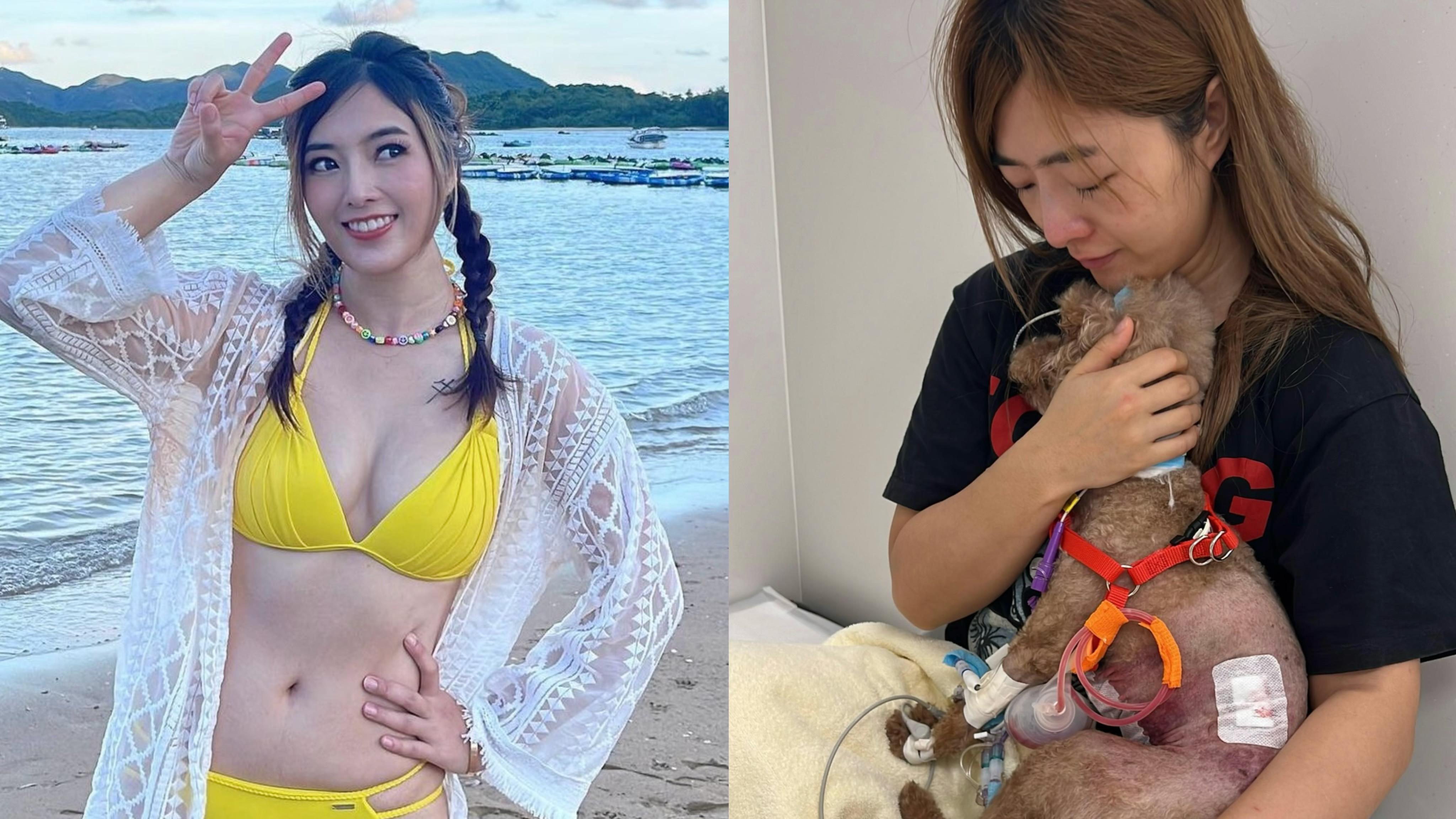 「牛雜妹」李亦喬愛犬被咬至重傷入ICU 同日發現懷孕9周不幸流產