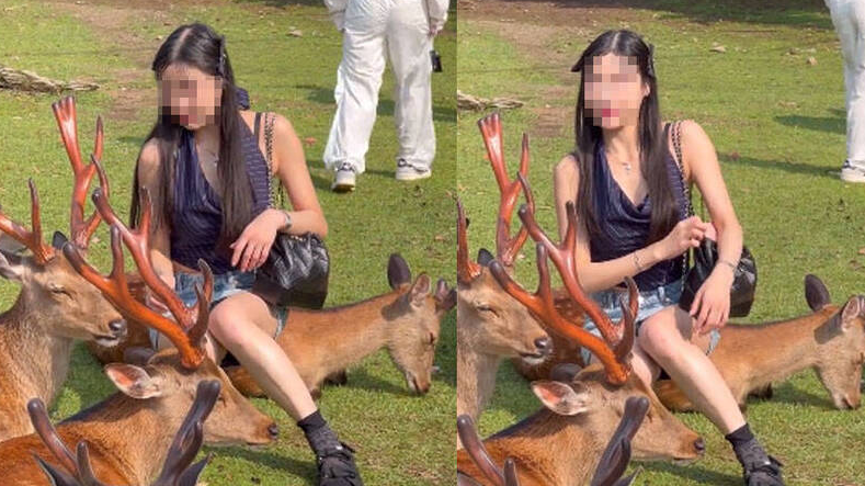 女子遊奈良 竟坐扁小鹿致「奄奄一息」真相終曝光【有片】