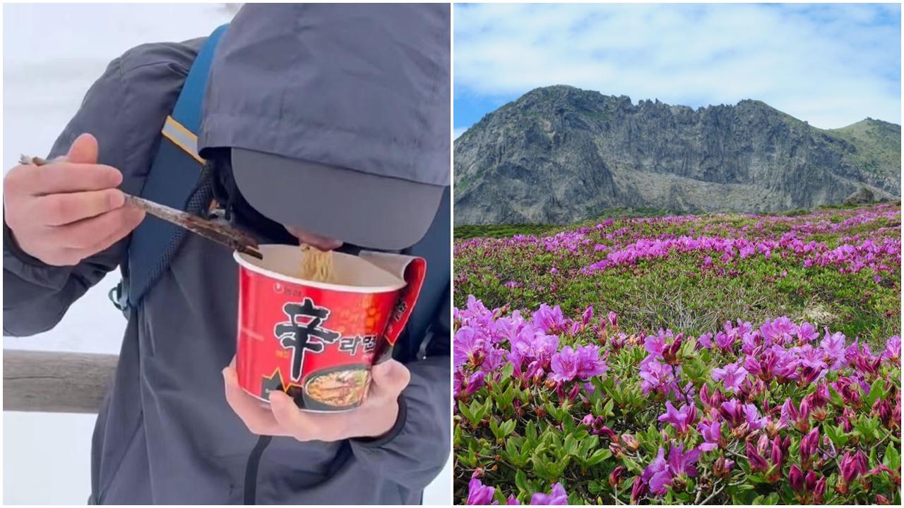 南韓與起登第一高峰吃泡麵，麵湯亂倒害漢拏山變「秃頭」。
