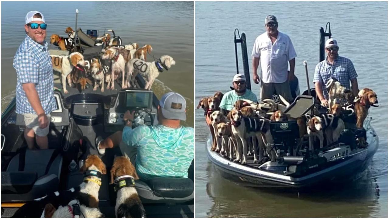 出湖釣魚竟帶回38隻狗，美漢笑言：一條魚都釣唔到。(網上圖片)