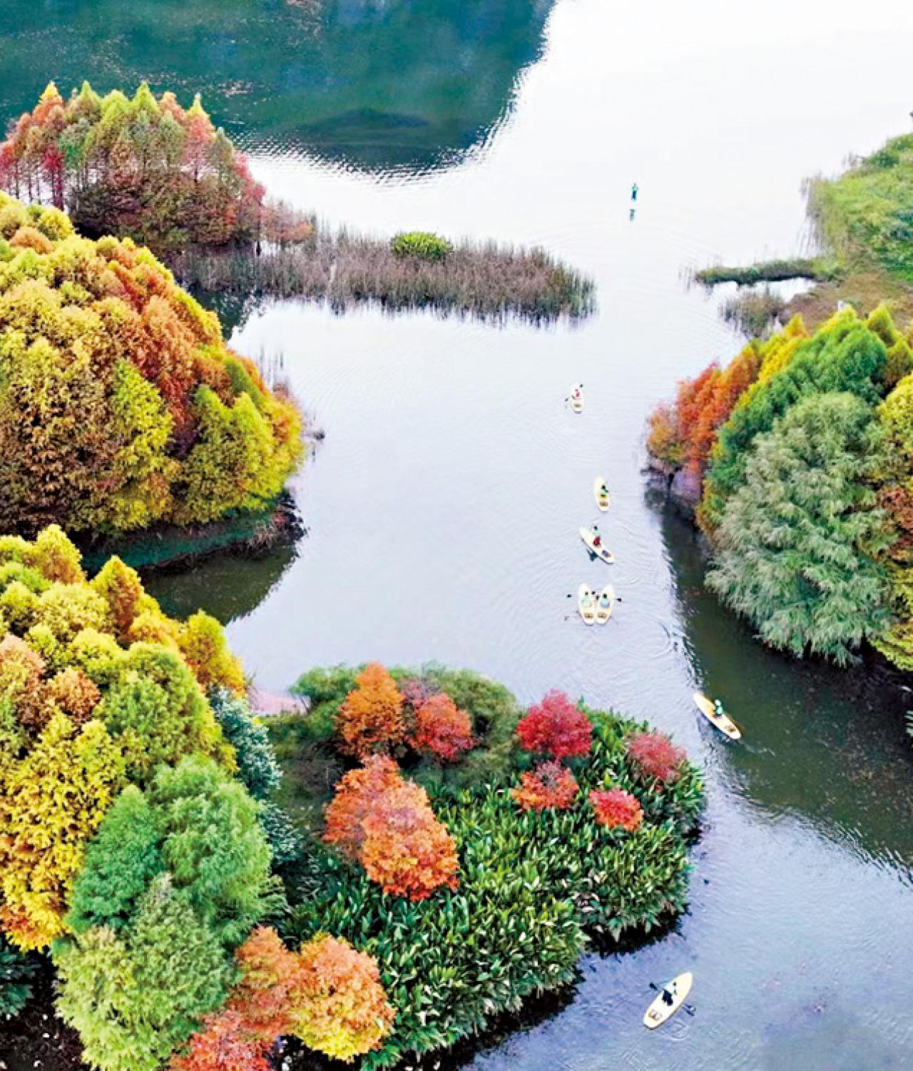 國家5A級景區雲南普者黑 走入人間仙景體驗罕見田園風光