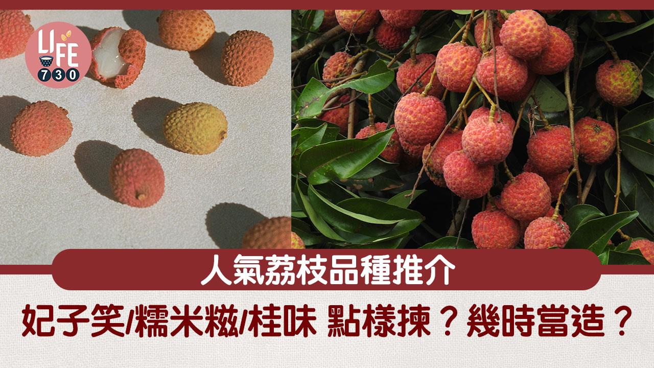 荔枝｜點樣揀？幾時當造？妃子笑/糯米糍/桂味等人氣品種推介！