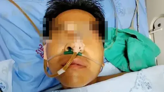 四川母子上山誤摘毒菇煮食　全家1死3命危