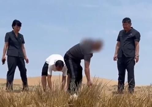 男子非法砍伐被罰荒漠種755棵樹，網民激讚：教育意義十足。(微博)