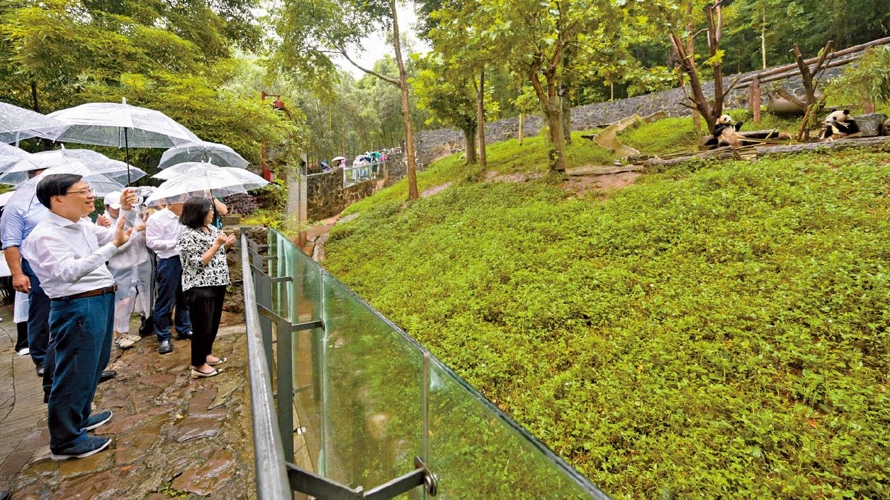 繼續四川行程 李家超︰為迎接大熊貓做好準備
