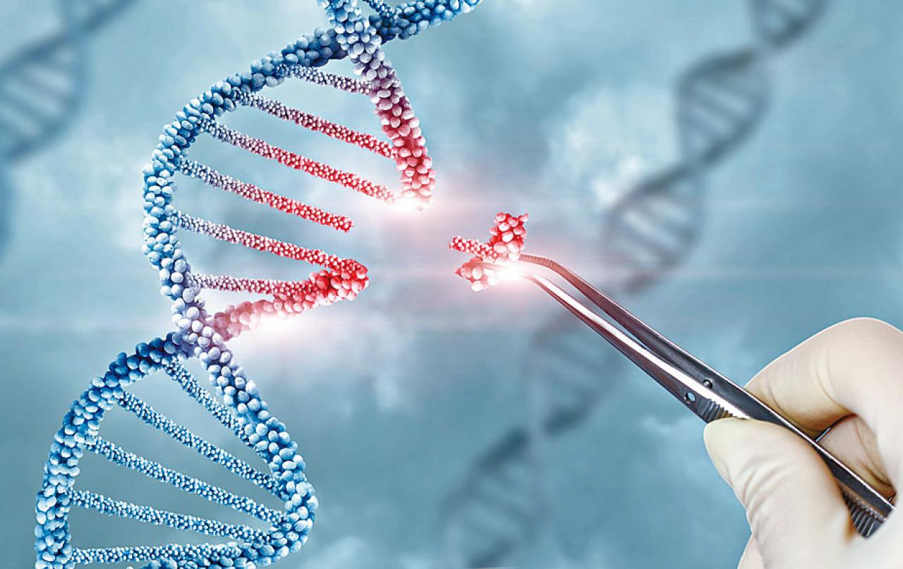 識別新罕見病基因 國際確認作基因診斷及治療用途