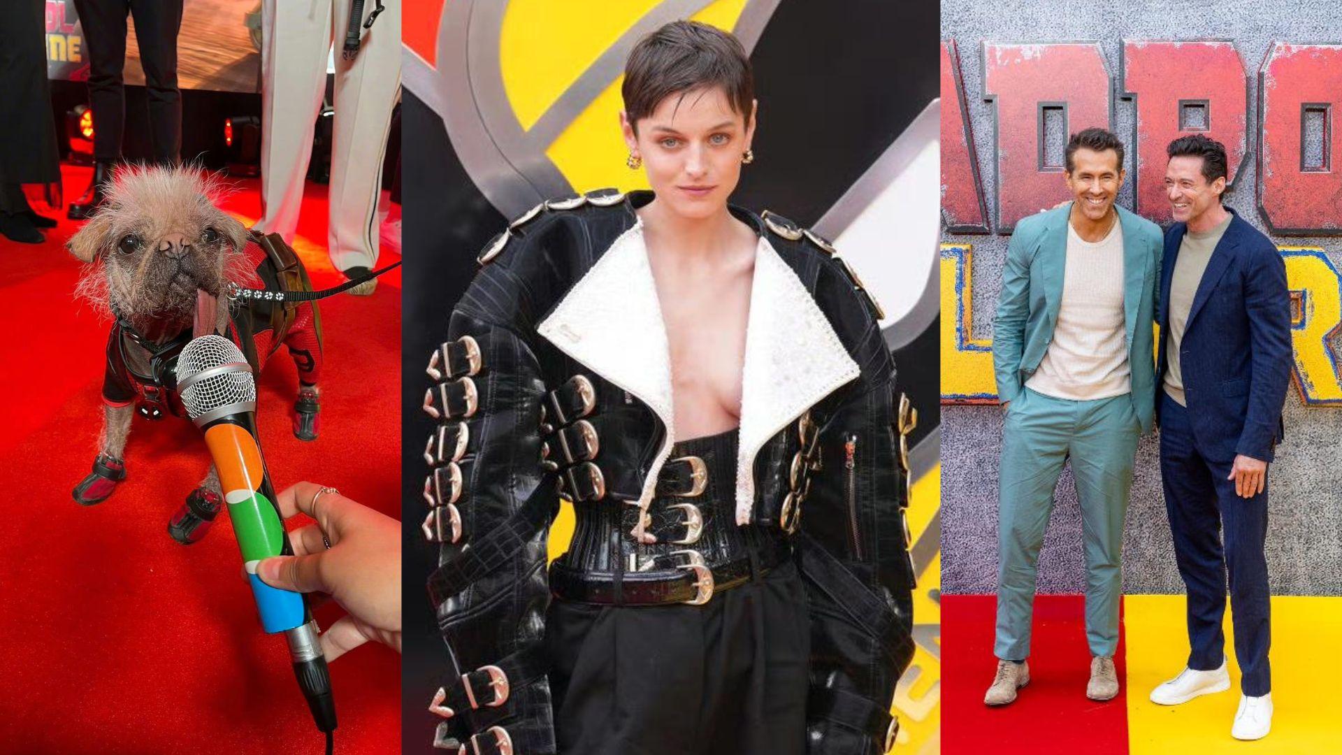 死侍與狼人｜女奸角愛瑪歌連露東西半球搶Fo 狗侍行黃紅地毯「扑咪」受訪