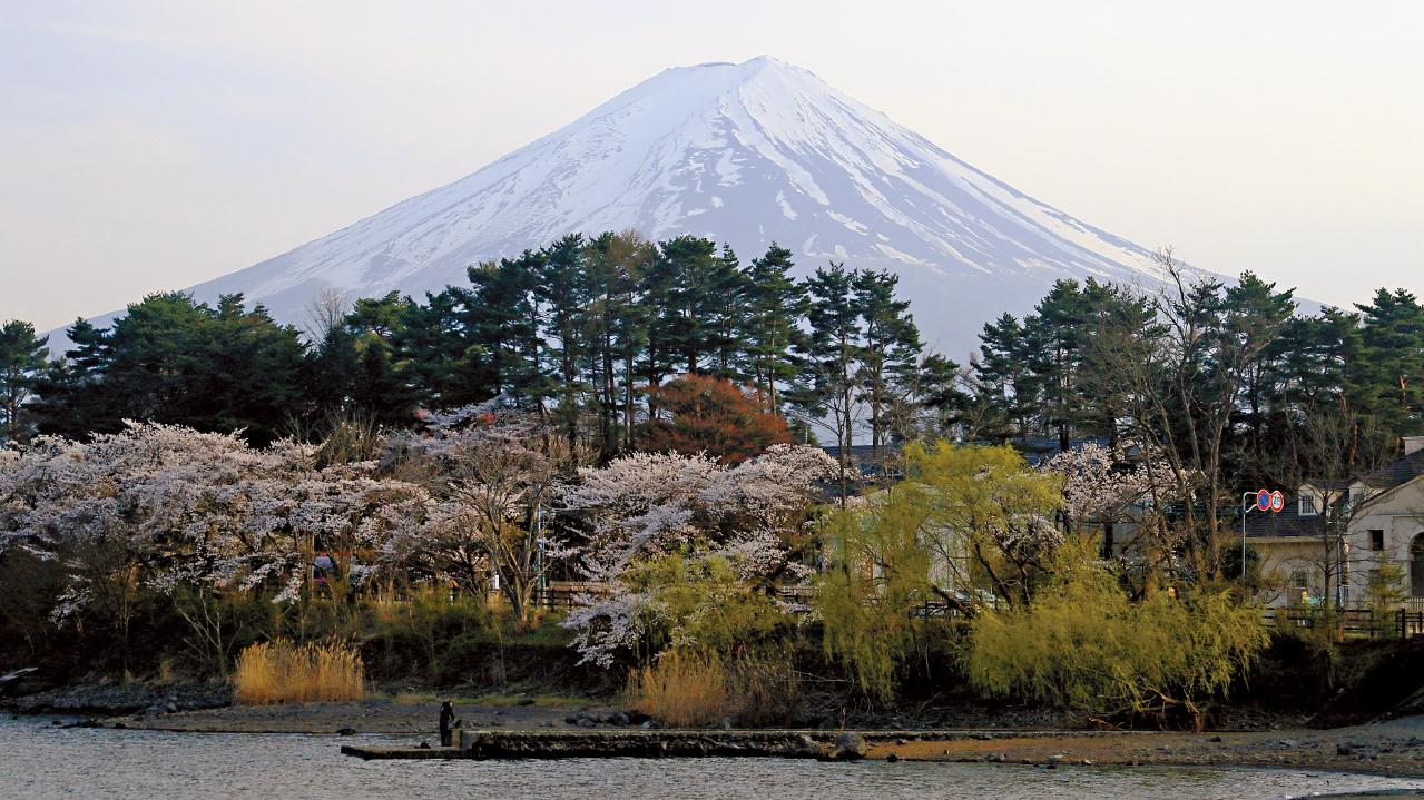 海外樓市專題｜買殼取永居濫 日本擬嚴打