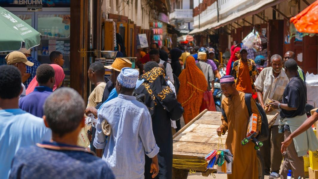 中國遊客坦桑尼亞遇車禍釀1死5傷