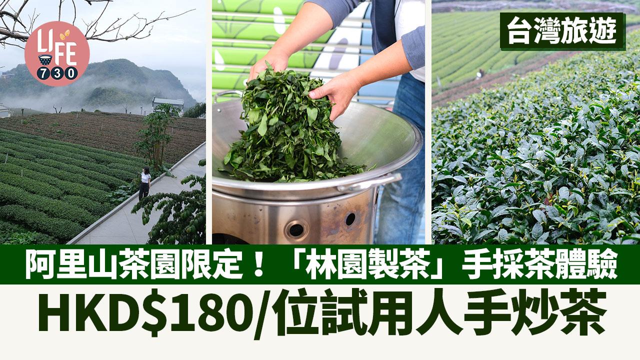 台灣旅遊｜阿里山茶園限定！「林園製茶」手採茶體驗 HKD$180/位試用人手炒茶
