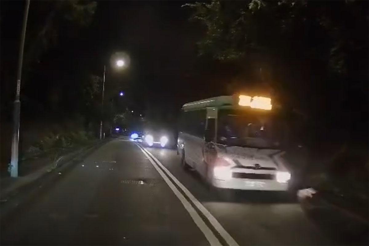 有唐狗在林錦公路行人路與馬路徘徊，最終慘遭專綫小巴撞飛。(網上影片截圖)