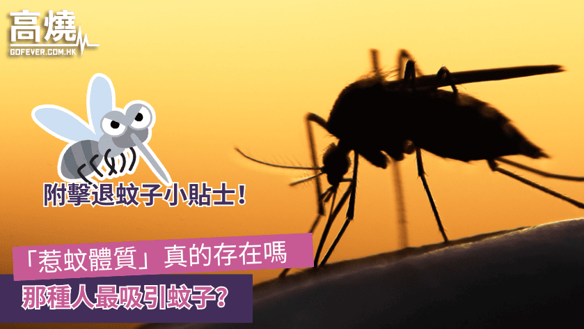 「惹蚊體質」真的存在嗎 那種人最吸引蚊子？（附七招驅蚊方法）