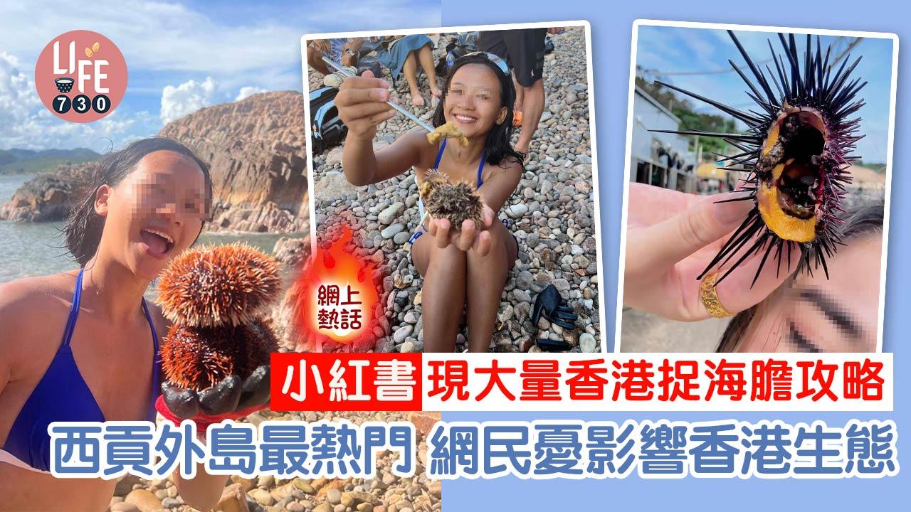 網上熱話｜小紅書現大量捉海膽攻略 聚集西貢外島齊齊捉 恐影響香港生態