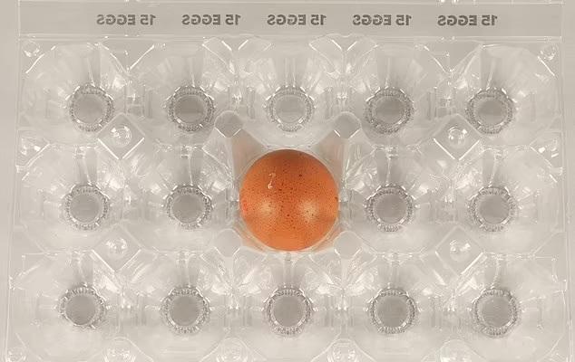 雞蛋