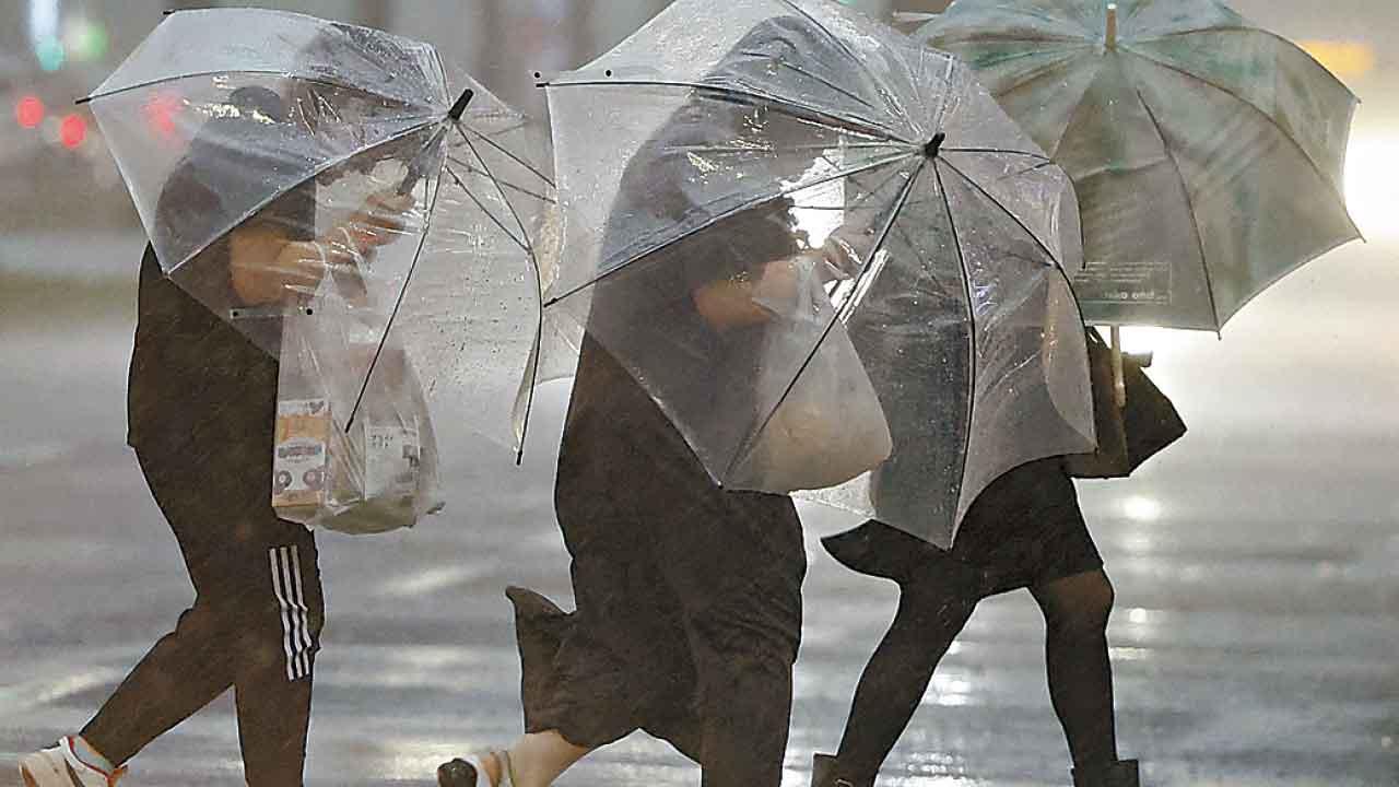 日本罕有發特別警報「珊珊」恐最強風力登陸九州