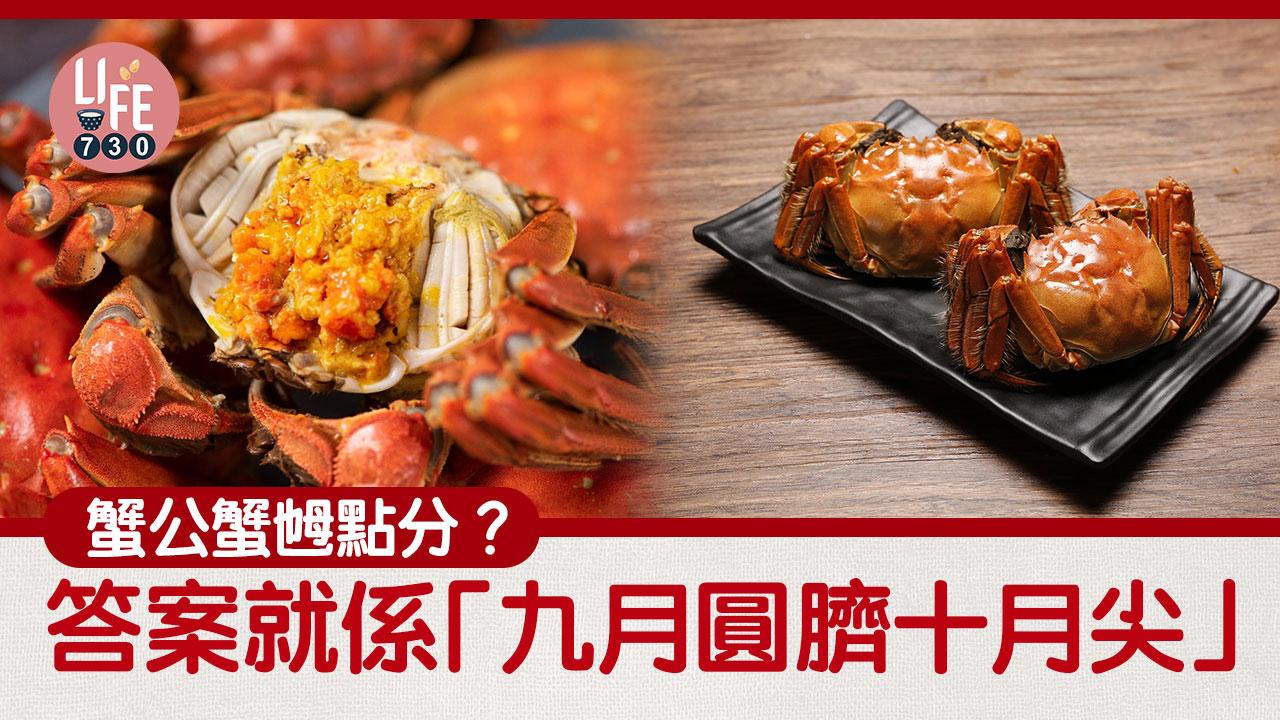 大閘蟹公乸分別｜分清金黃蟹黃和透白蟹膏（am730製圖）