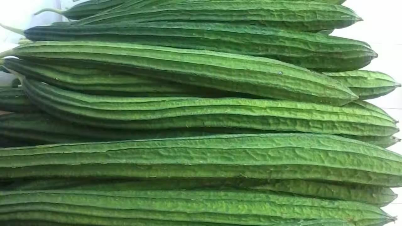 絲瓜季節｜夏天最啱食 功效包括消水腫降血壓兼助眠