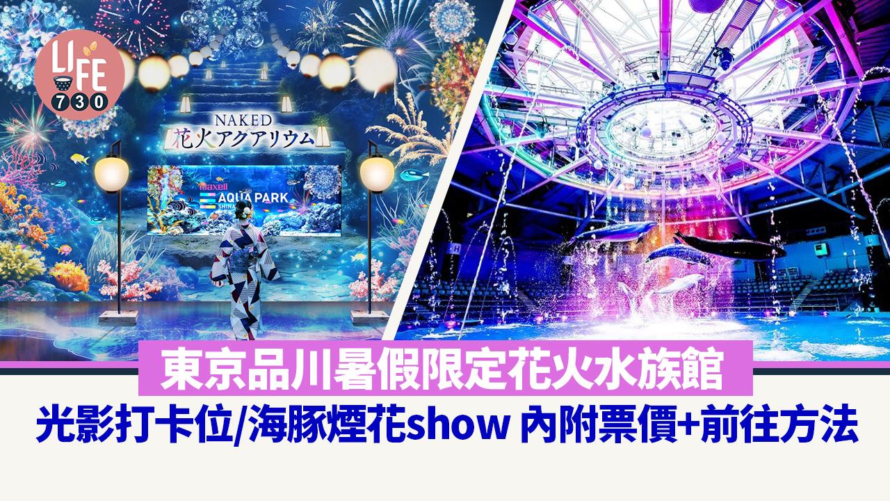 日本旅遊｜東京品川暑假限定花火水族館 光影打卡位/海豚煙花show 內附票價+前往方法