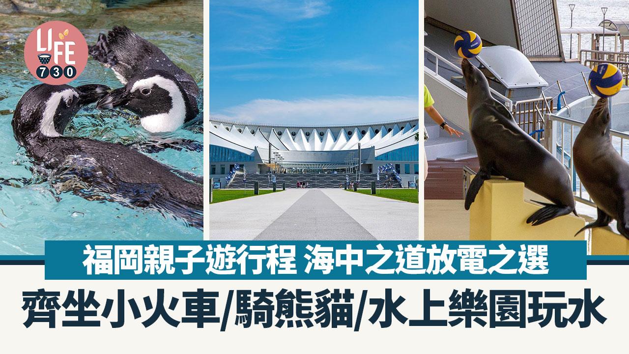 福岡親子遊行程｜海中之道放電之選 齊坐小火車/騎熊貓/水上樂園玩水