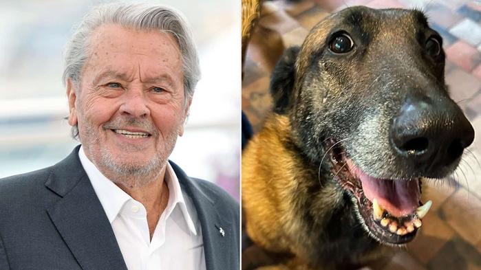 阿倫狄龍子女拒父遺願 讓愛犬安樂死陪葬