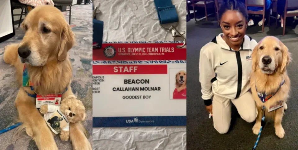 巴黎奧運｜美國體操女王復出奪金　幕後功臣原來係金毛狗醫生