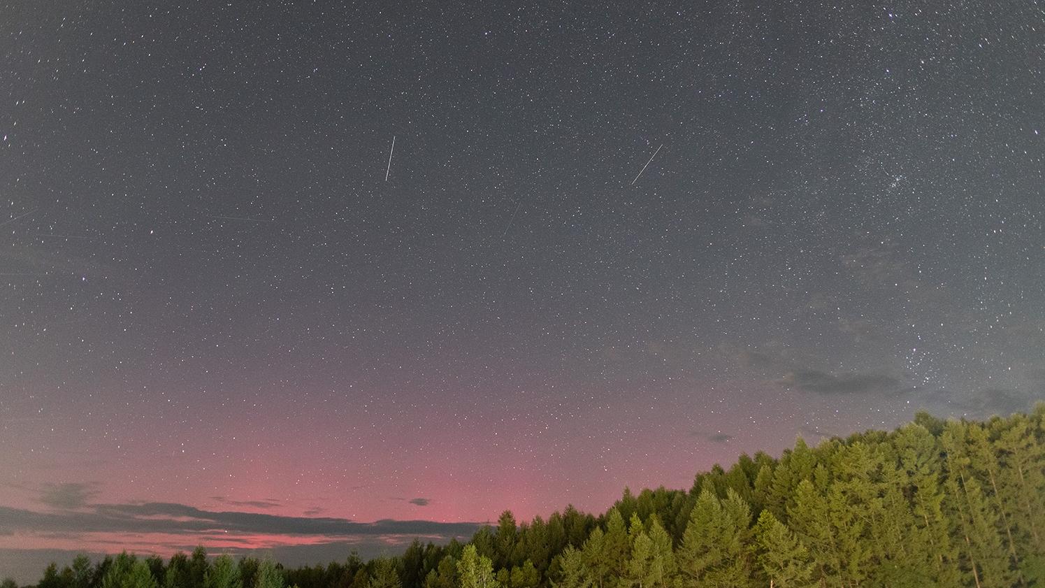 名寄市立天文台分享極光與英仙座流星雨同時出現的絕美照片。(互聯網)