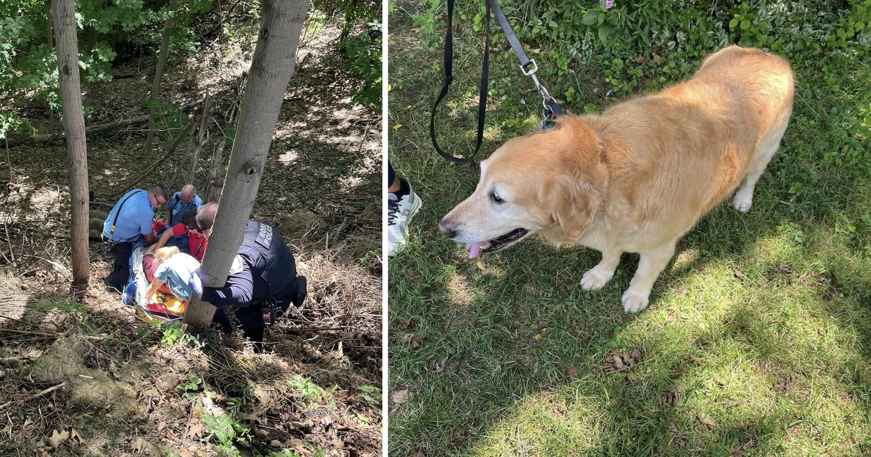 狗狗跑到鄰居家求助，讓跌落山坡的主人獲救。(互聯網)