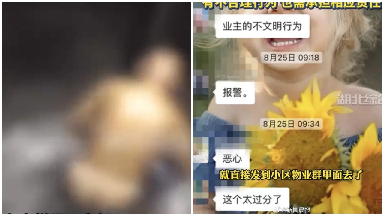 七旬翁𨋢內大便影片被無打格發佈，疑不堪羞辱自殺身亡。(微博)