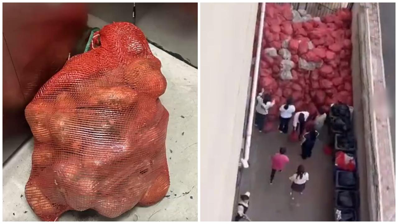 河北公司中秋派每人15公斤薯仔，員工稱「點煮都好味」。(微博)