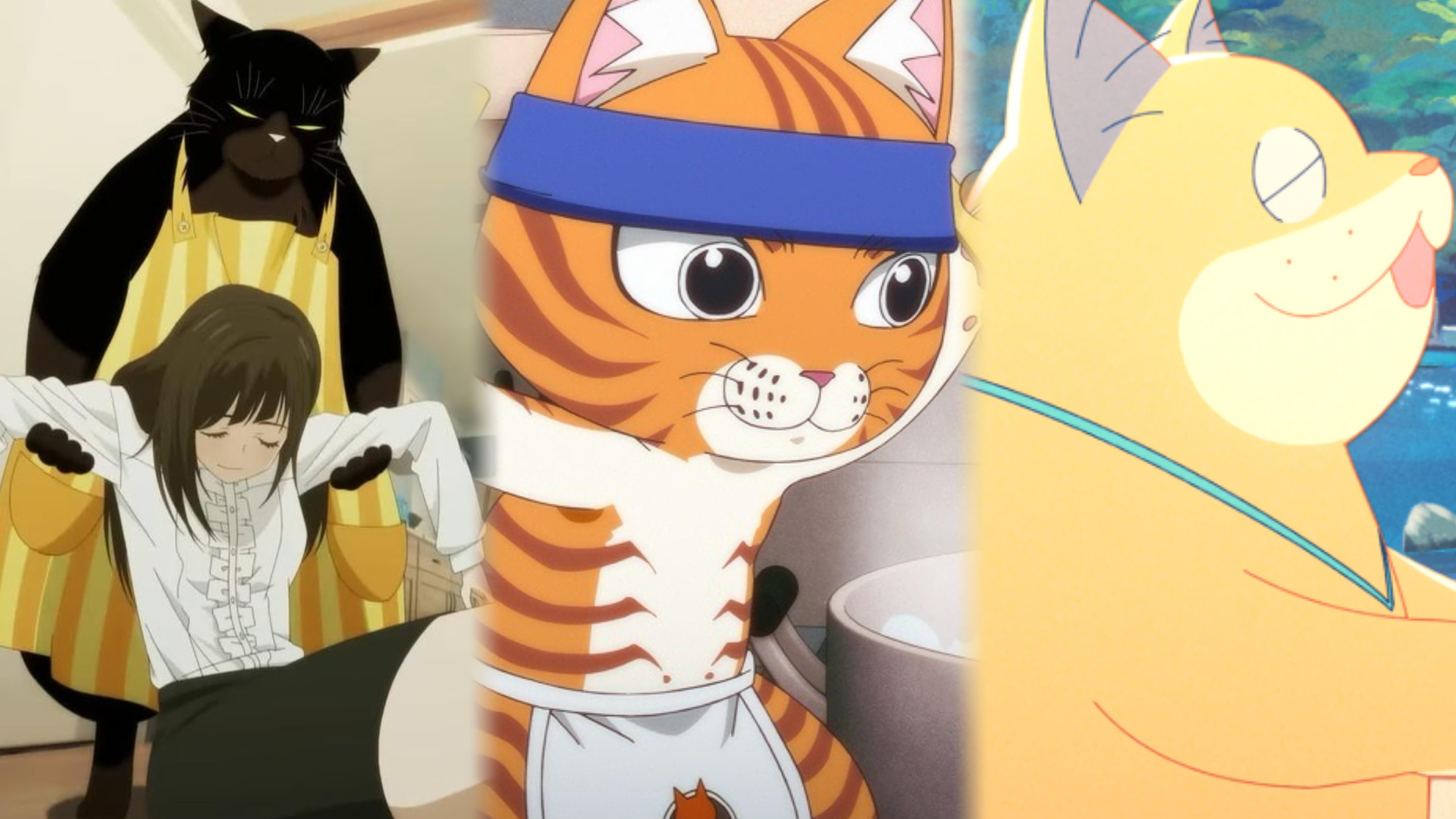 《能幹貓今天也憂鬱》《拉麵赤貓》《佛系貓物語》 貓咪佔領地球指日可待！