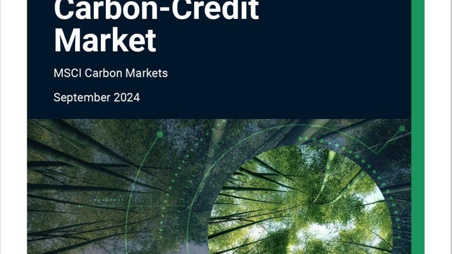 MSCI指，其碳項目評級可對全球碳信用市場上4,000餘個項目進行評估。(公司圖片)