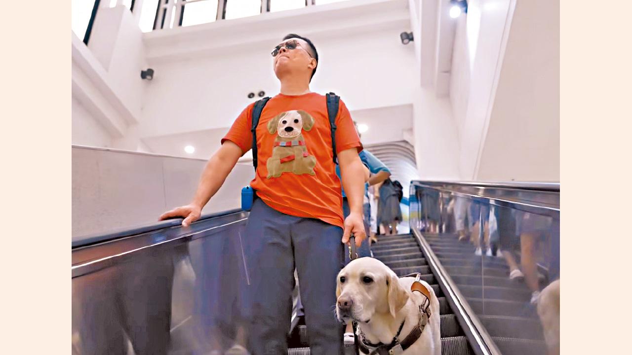 導盲犬協會10月首次賣旗 義工可獲嘉許狀