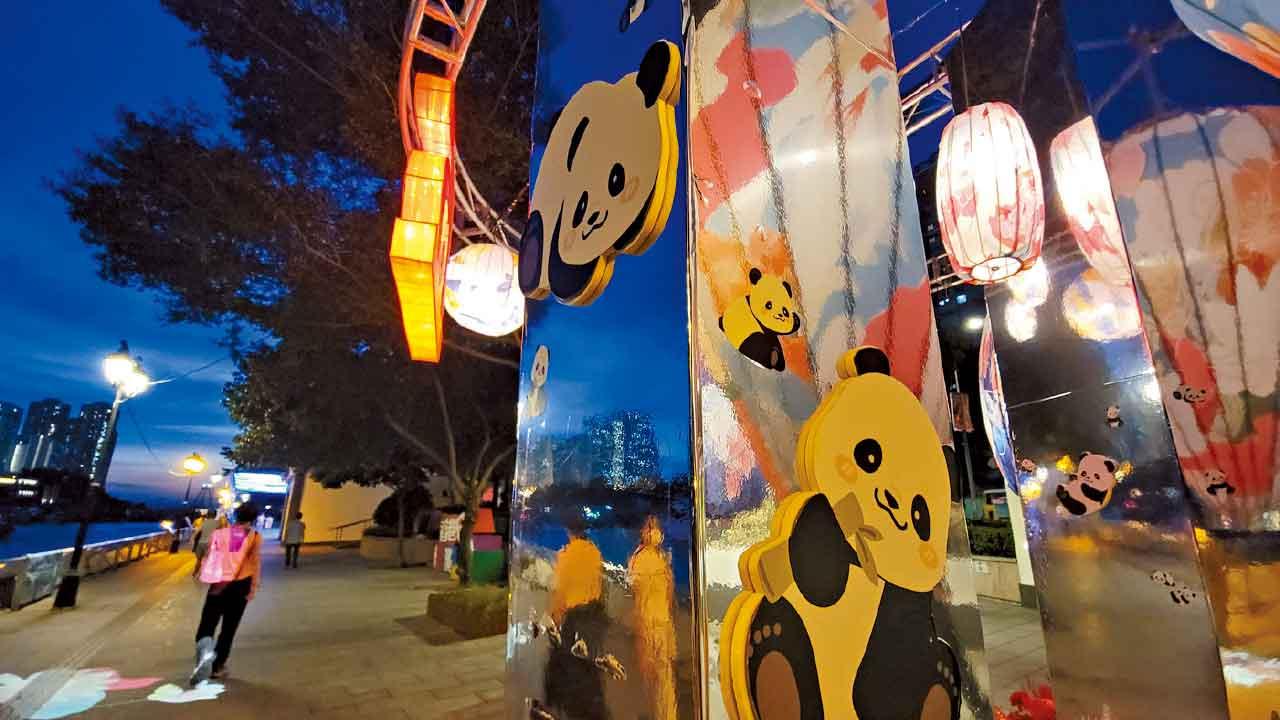 南區推大熊貓主題活動推廣旅遊及文化  鄭港涌：大熊貓可當國家「親善大使」