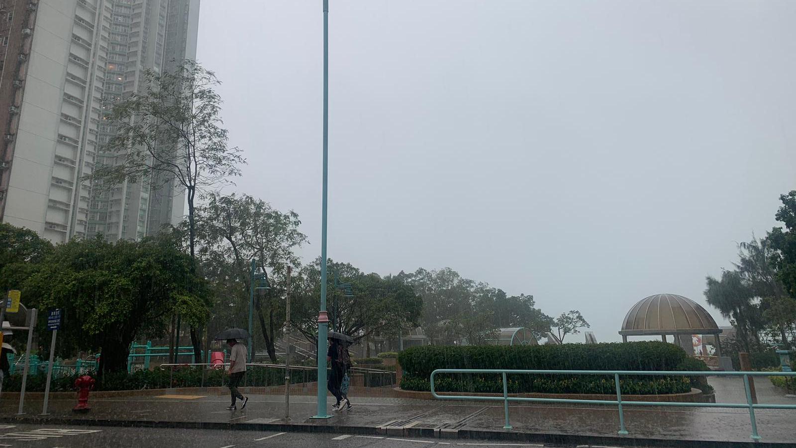 雨｜天氣｜天文台
