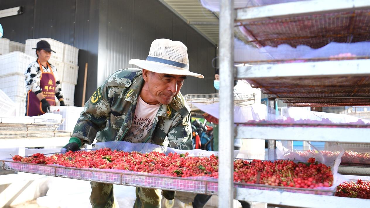 內地公布最新外資准入清單 製造業限制全撤