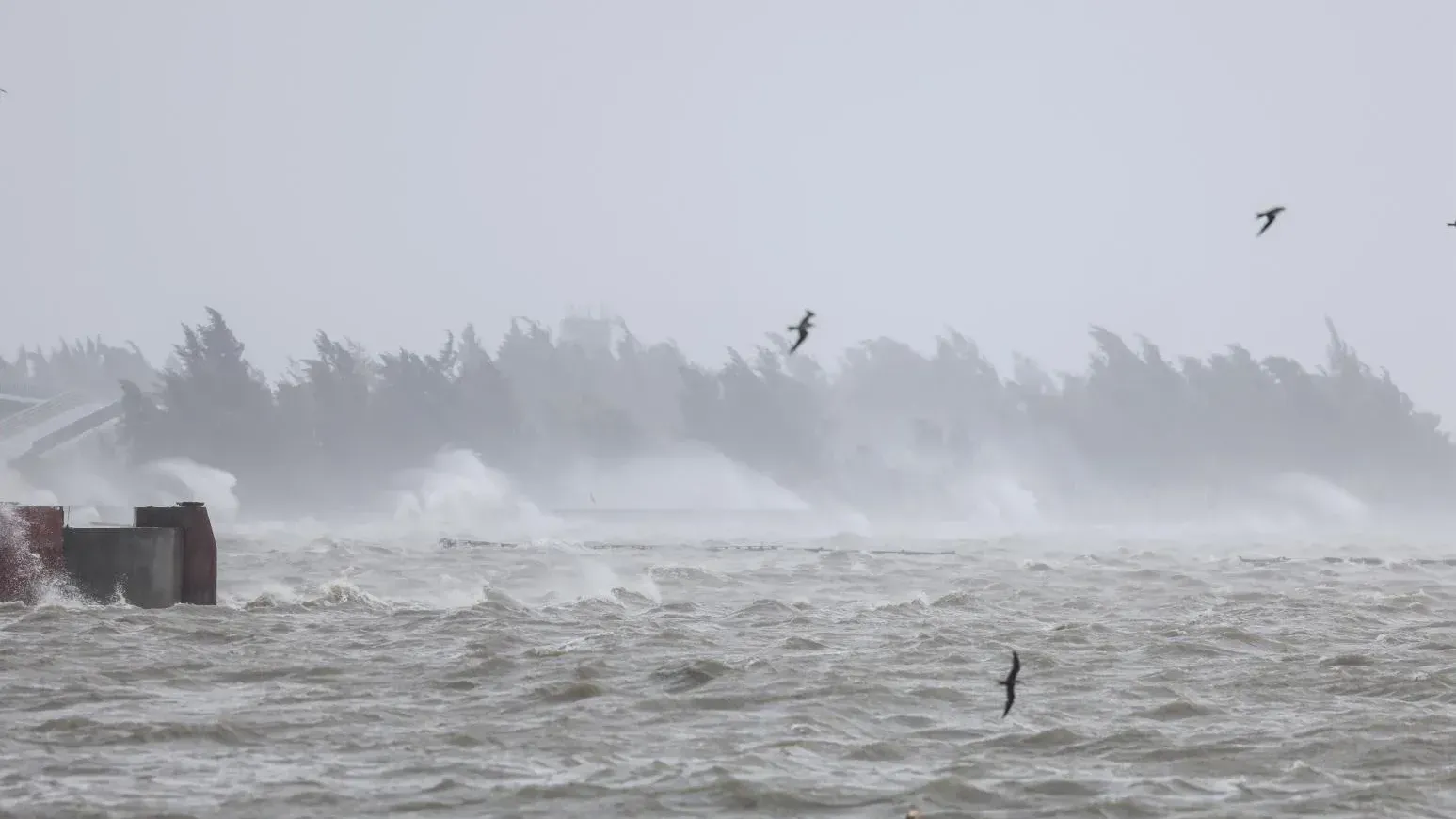 摩羯｜二次登陸襲海南廣東　掀起6米海浪捲走兩噸巨石