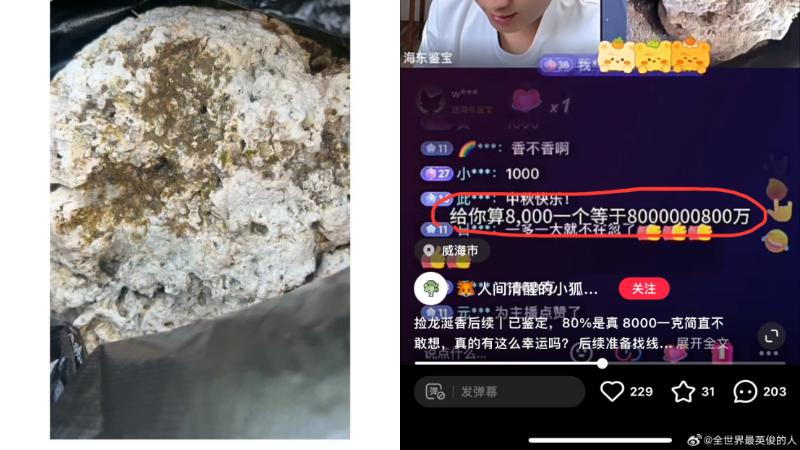 山東海邊拾獲疑似龍涎香值800萬　北京遊客：執到層樓