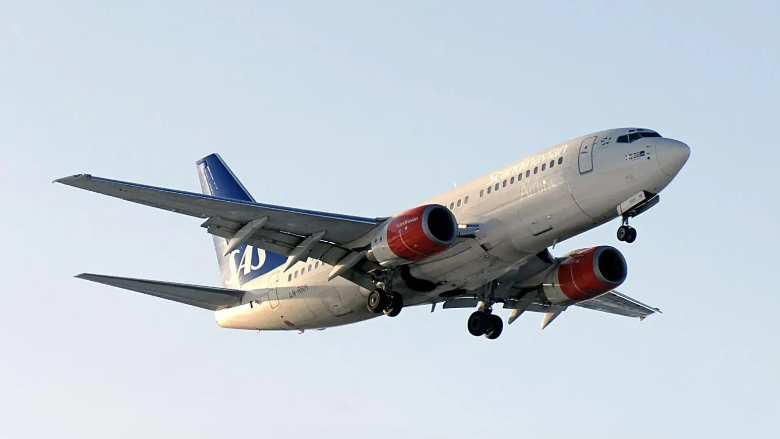 北歐航空飛機餐跳出活老鼠　班機緊急降落哥本哈根