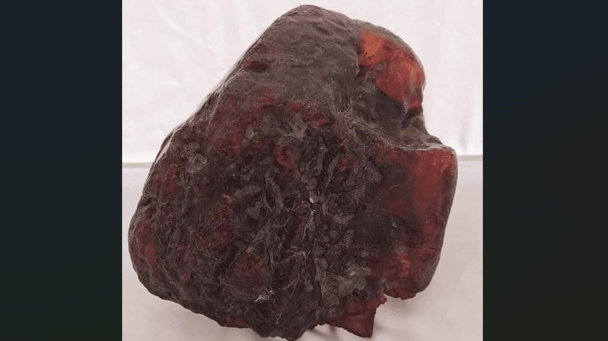 老婦當門擋的巨型琥珀被認定是羅馬尼亞國寶。(互聯網)