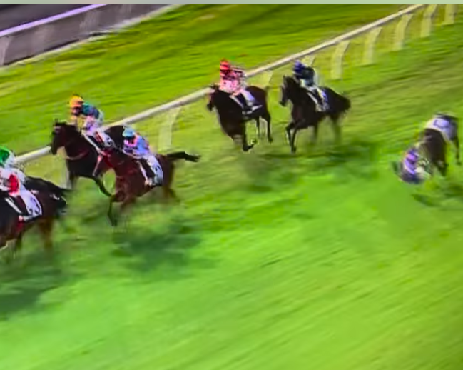 沙田賽馬騎師蔡明紹墮馬。（香港賽馬會影片截圖）