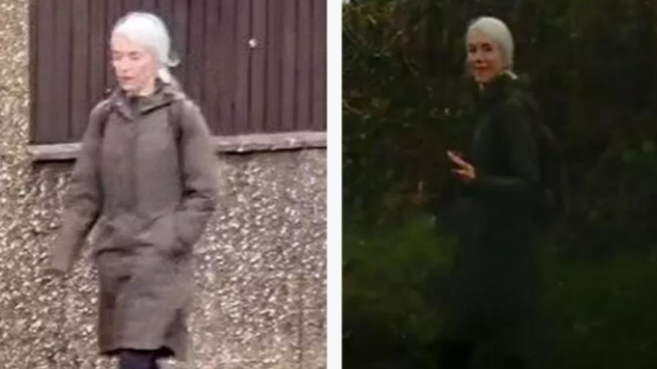 49歲女子失蹤6天前 被拍到向車cam詭笑揮手 結局黯然