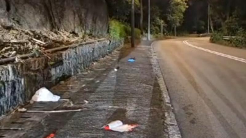 新娘潭路女鐵騎士疑失控自炒撞山坡，昏迷送院後不治。(電視截圖)