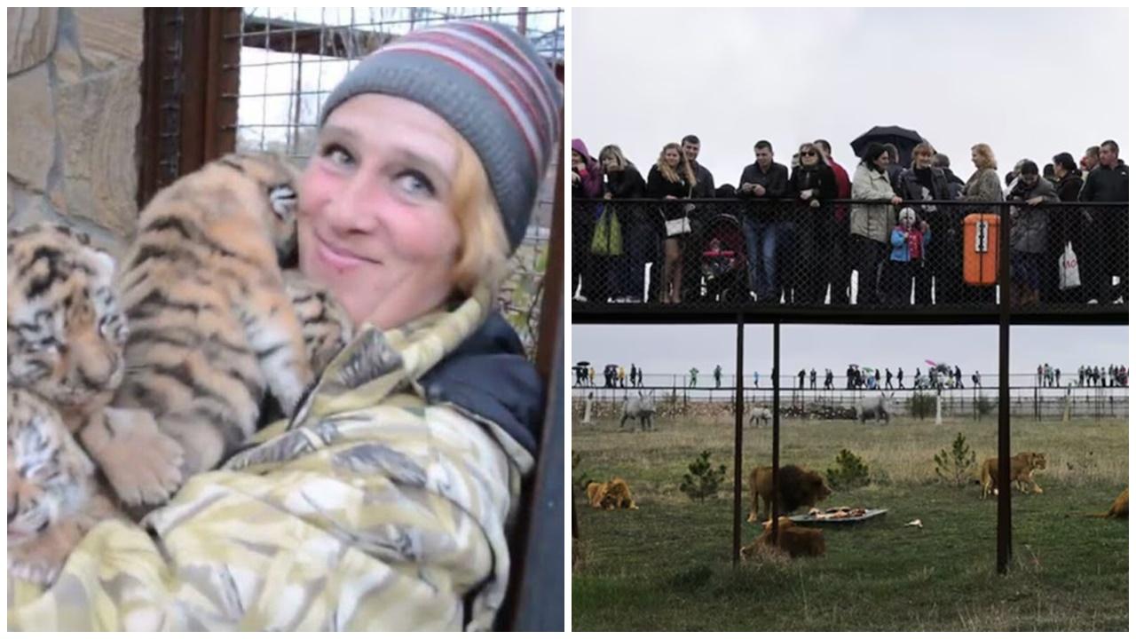 動物園女職員打掃忘記鎖門，慘被3獅撕咬死。(X)