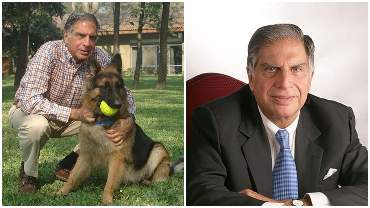 印度大亨病逝未婚無子女，留遺產予愛犬與忠僕。(X)