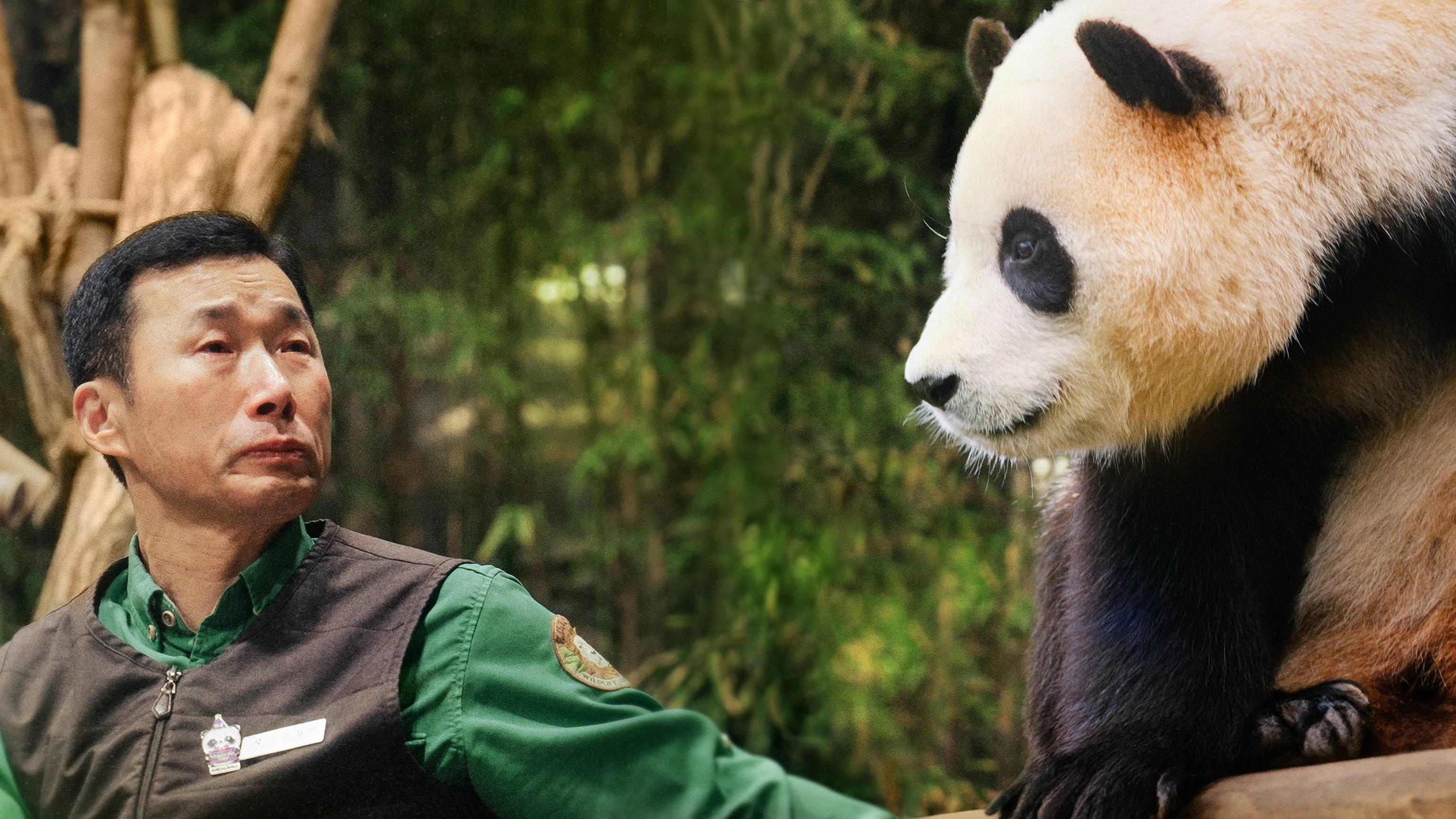 《再‧見熊貓福寶》 韓國熊貓特別圓