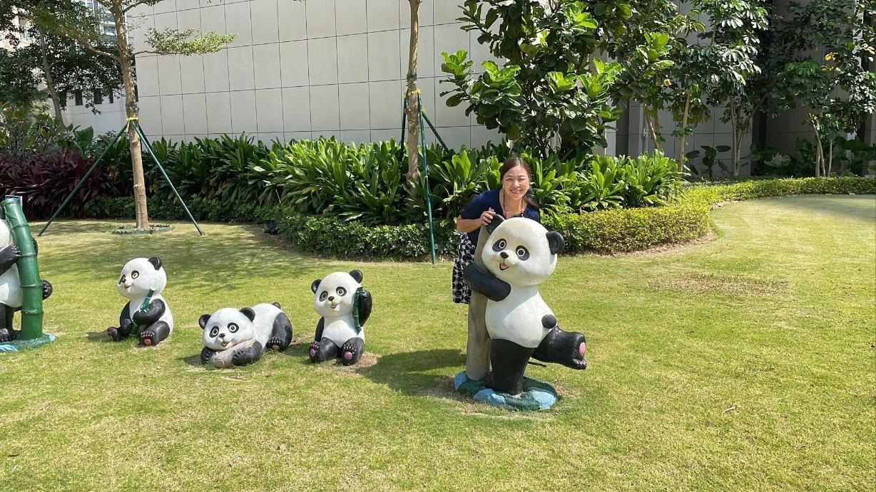 現在國內樓房的水準不錯，這是我樓下花園。