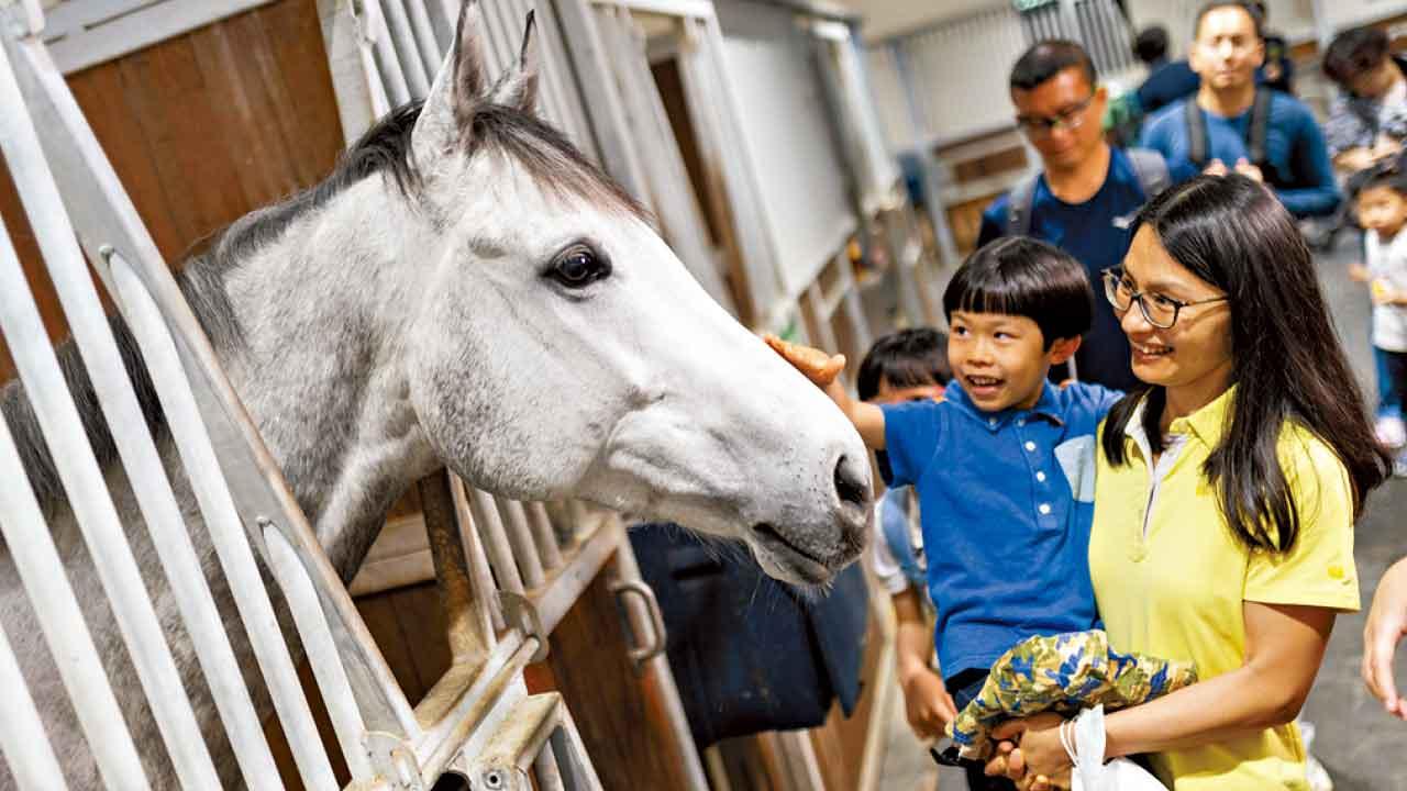 馬會140周年推6慶祝活動 10.22及28設金多寶 頭獎共1.4億