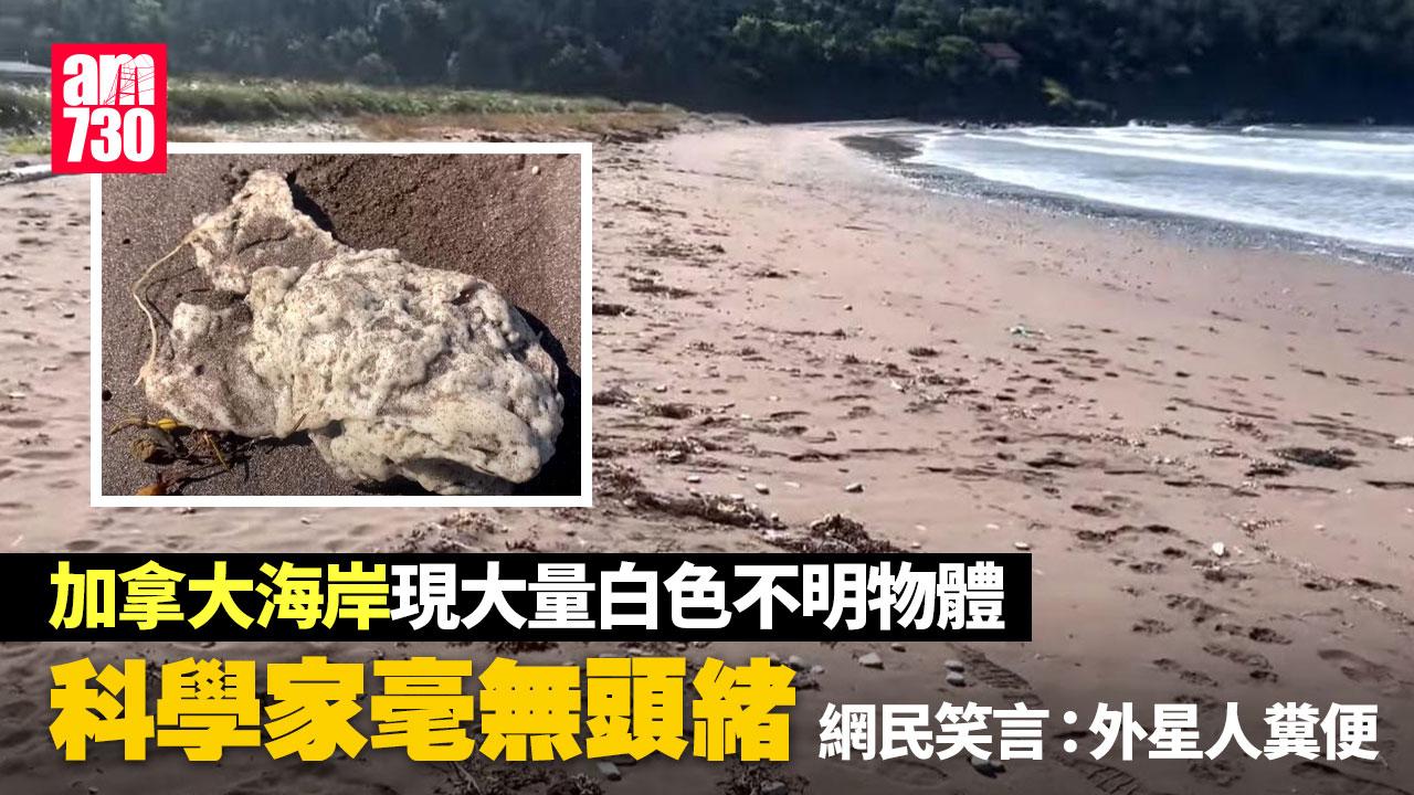 加拿大紐芬蘭海岸不明物體考起科學家 網民猜：外星人糞便？鯨魚鼻屎？