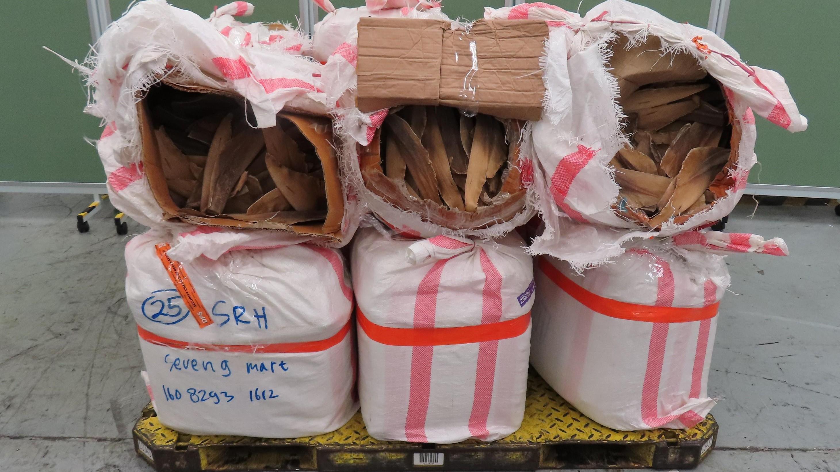 海關檢查印尼空運貨物「家用品」貨物 檢230受管制乾魚翅乾海參 （政府新聞處圖片）